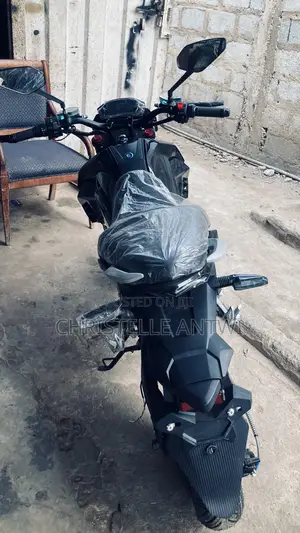 Electric Bike