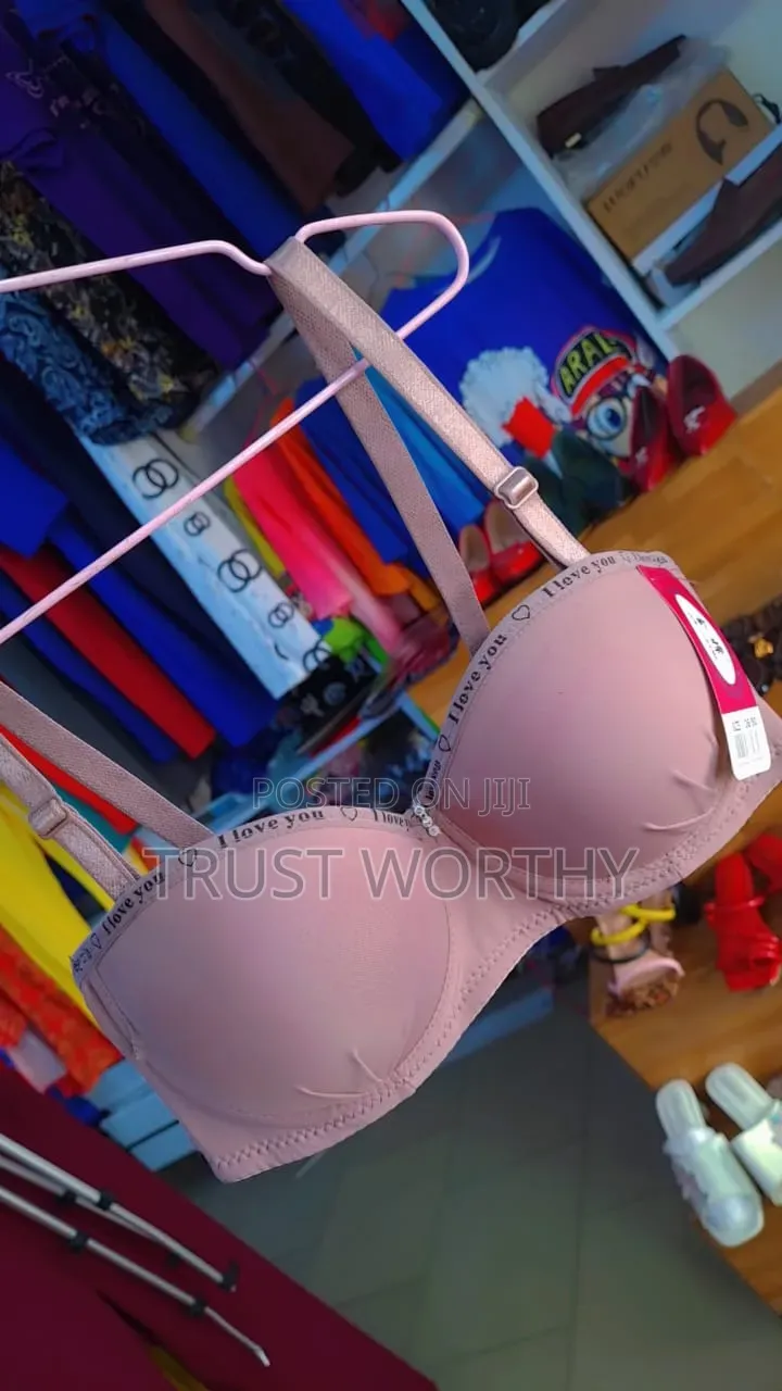 Beautifully Made Bra for Sale