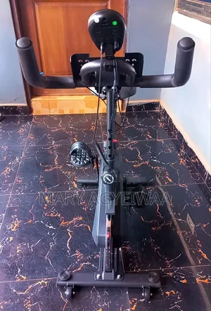 Manual Gym Bike