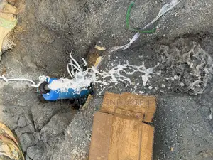 Mechanized Borehole Drilling Services