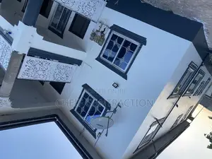 Professional Painter
