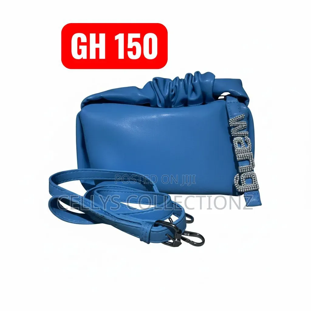 Ladies Bags