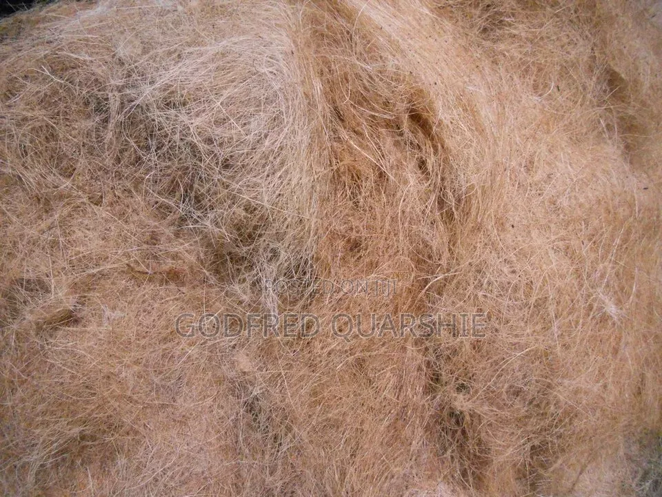Coconut Fiber