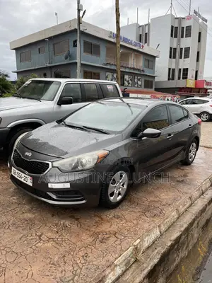 Kia Forte 2013 Gray