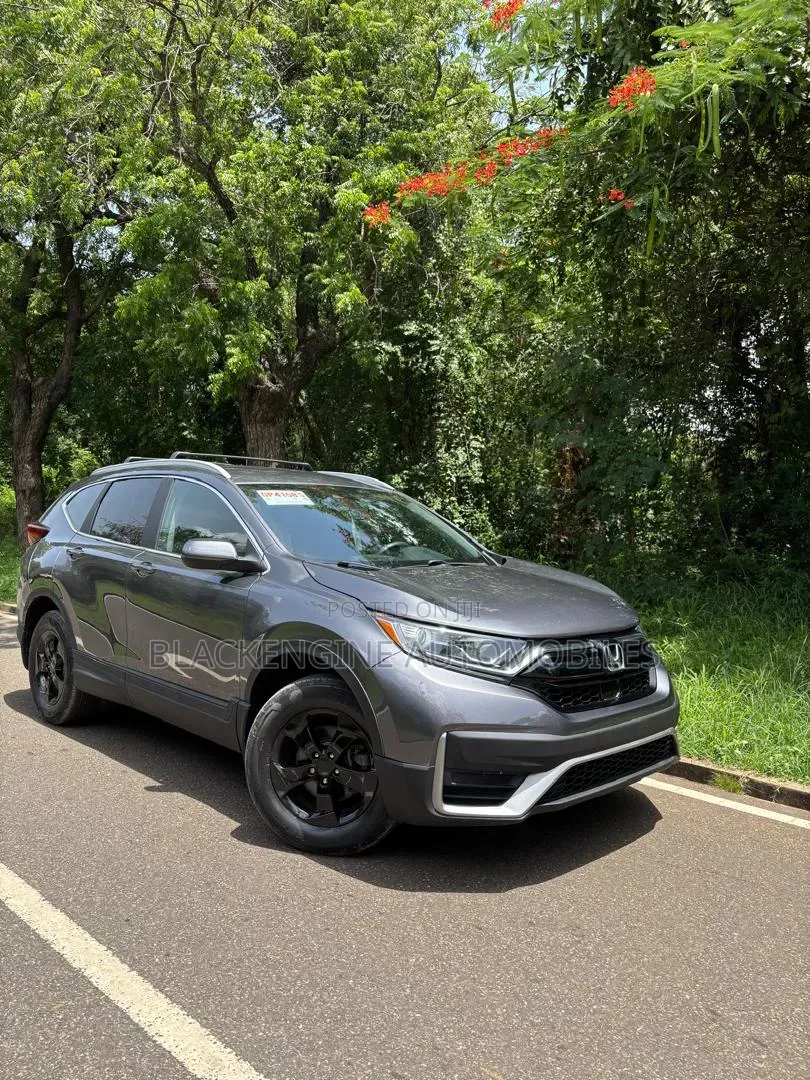 Honda CR-V LX AWD 2020 Gray