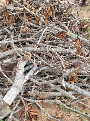 Firewood in Large Quantity