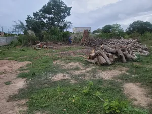 Firewood in Large Quantity