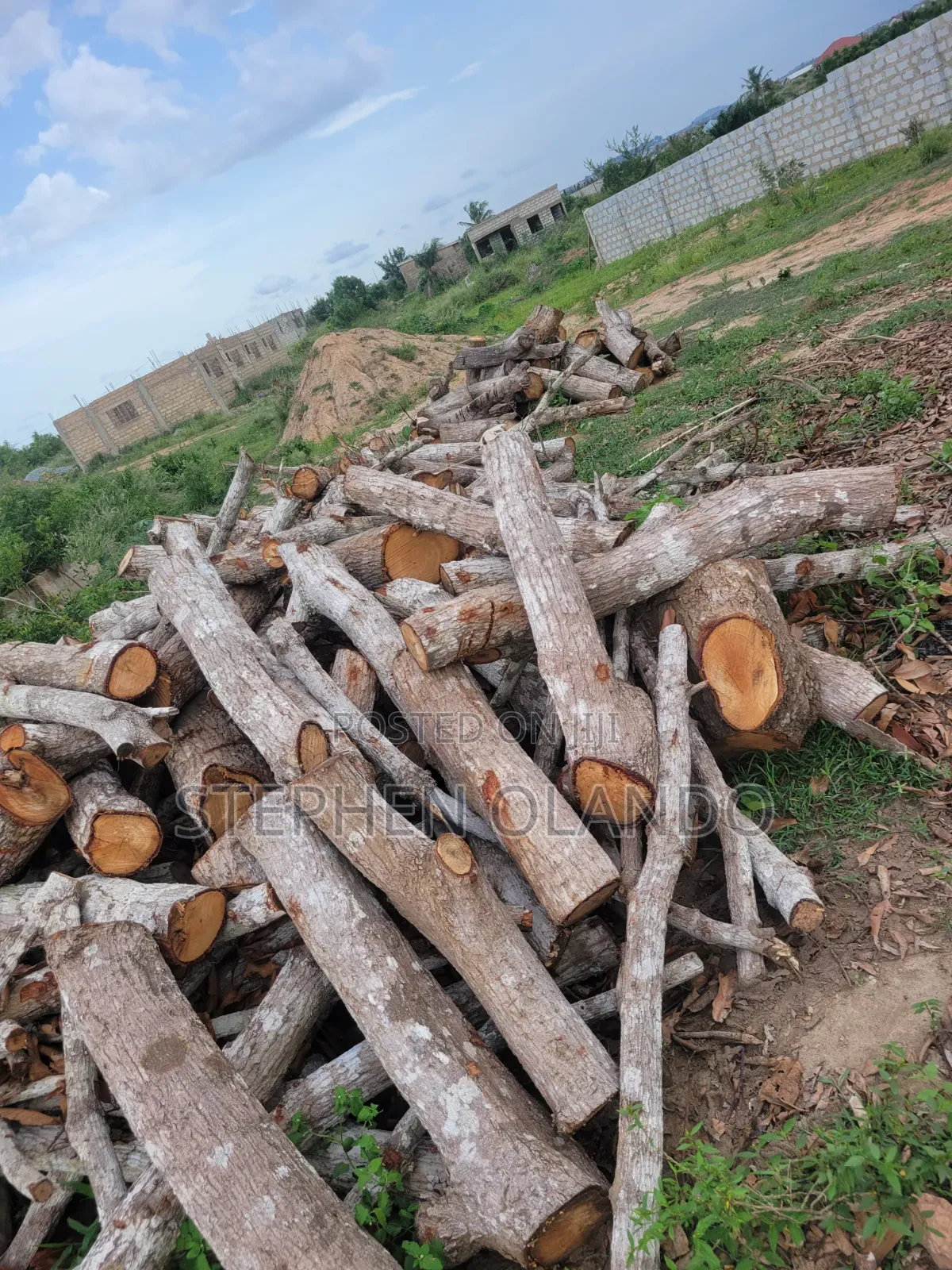 Firewood in Large Quantity