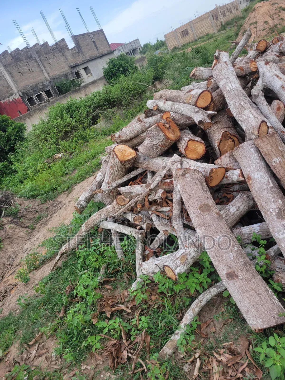 Firewood in Large Quantity