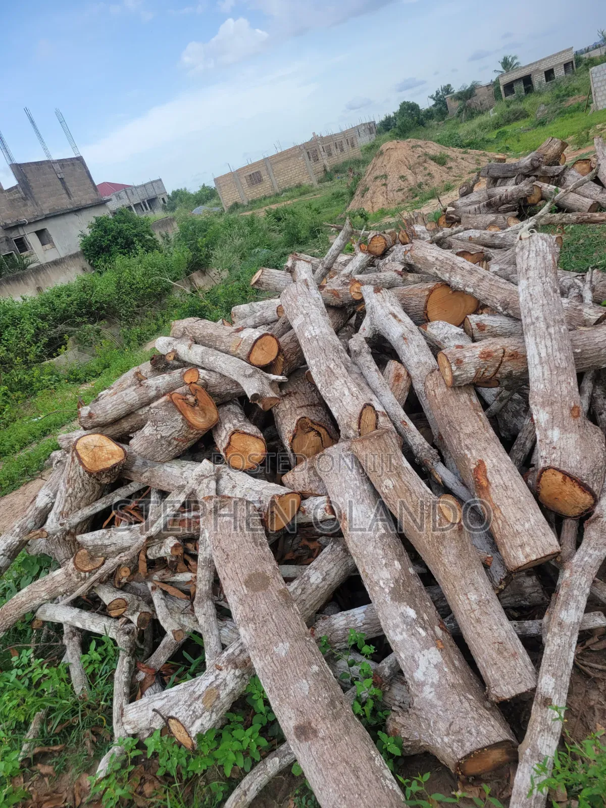 Firewood in Large Quantity