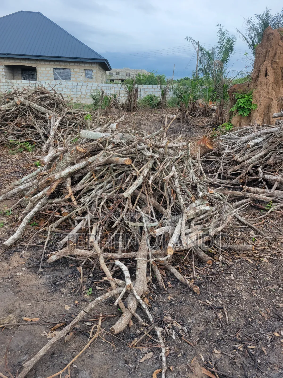 Firewood in Large Quantity