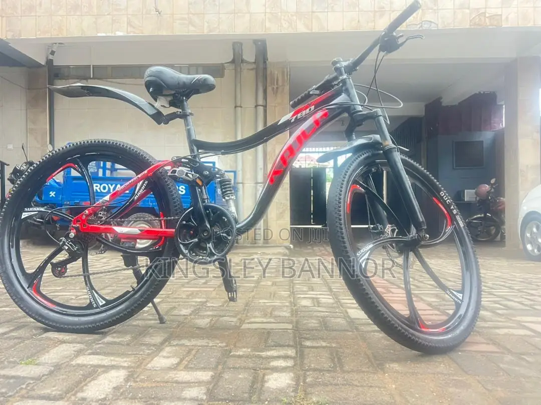 Mobility Bike
