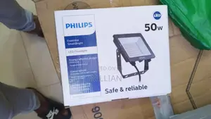 50 Watt Philip Floodlight With Delivery Install Within Accra