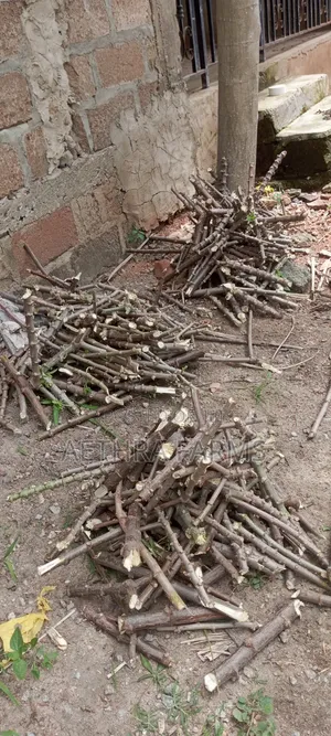 Hybrid Casava Sticks/Stems