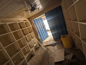 Container (Shop)