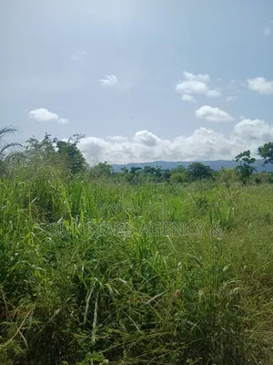 Acre Of Fertile Farm Land In Hohoe For Sale