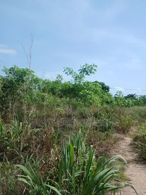 Acre Of Fertile Farm Land In Hohoe For Sale