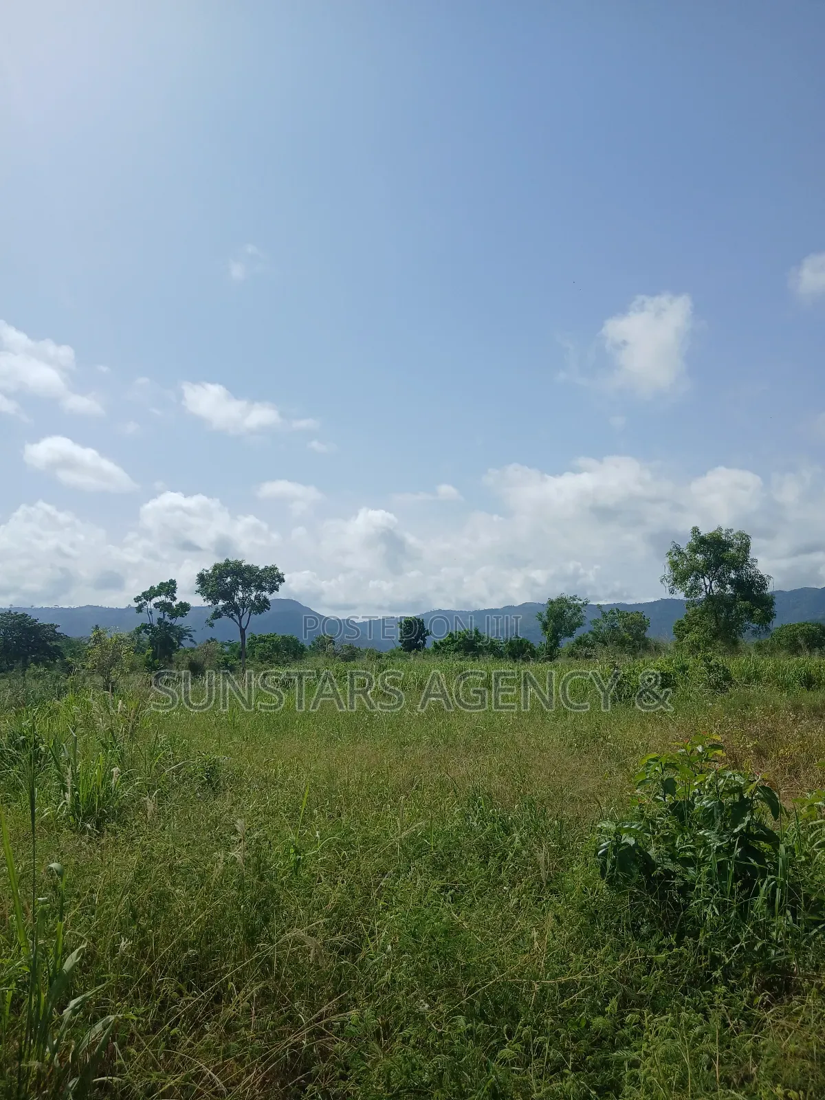Acre Of Fertile Farm Land In Hohoe For Sale