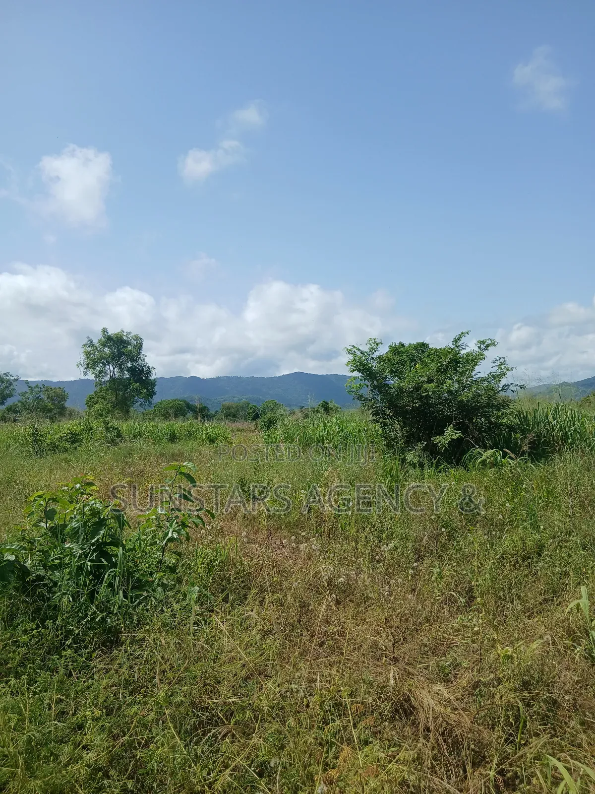Acre Of Fertile Farm Land In Hohoe For Sale