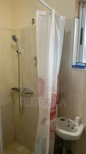 One Bedroom Fully Furnished Studio Ensuite