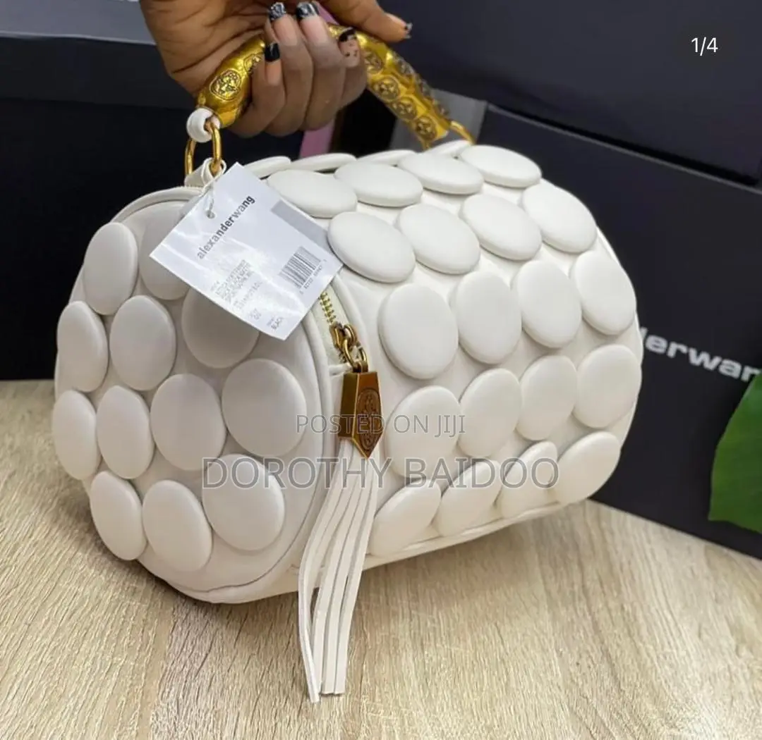 Explendid Bag for Ladies