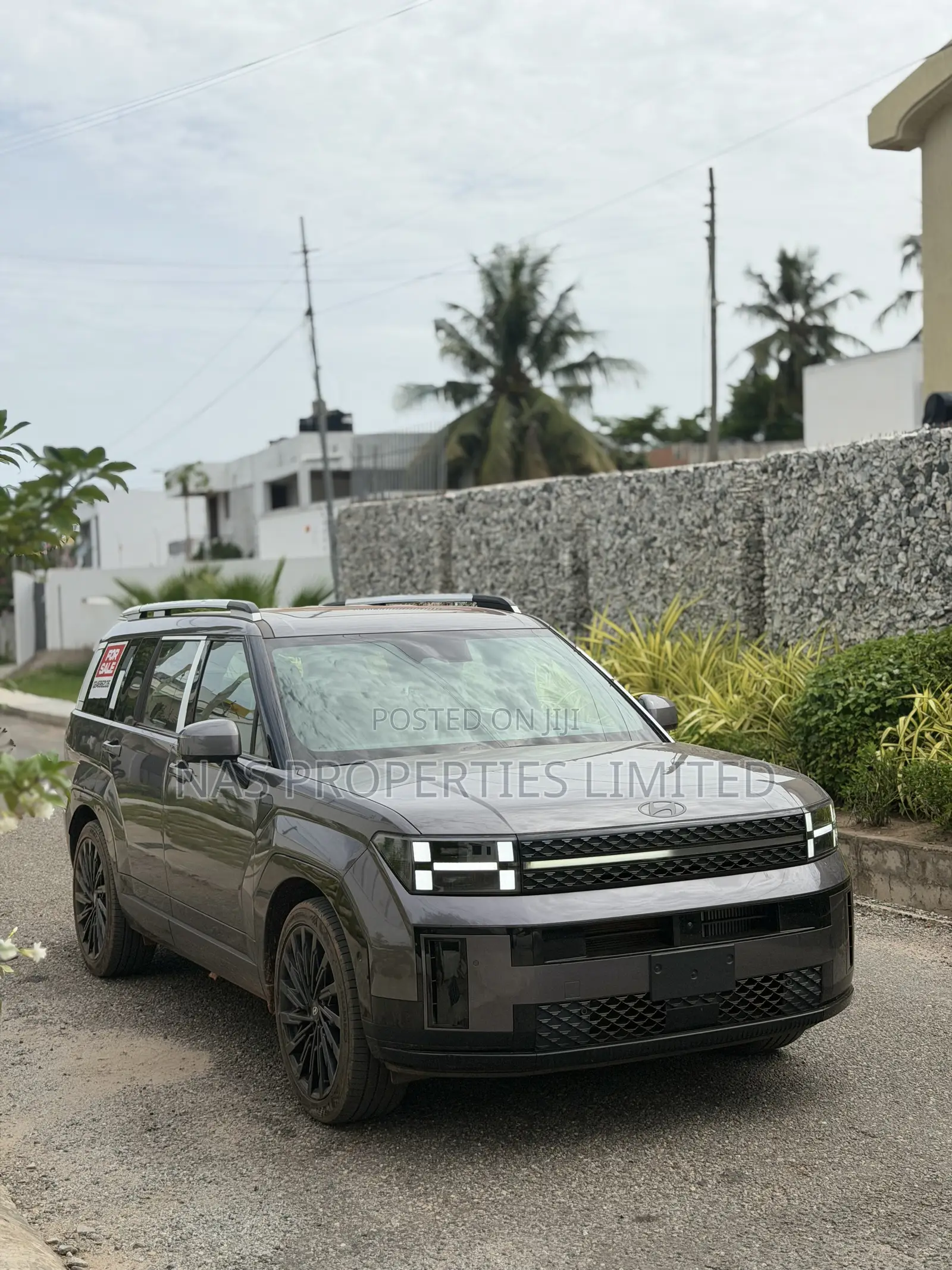 New Hyundai Santa Fe Calligraphy 2024 Gray