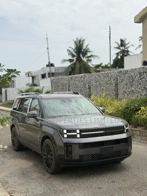 New Hyundai Santa Fe Calligraphy 2024 Gray
