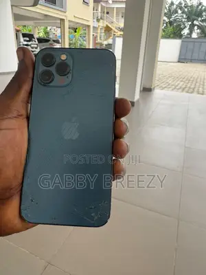 Apple iPhone 12 Pro 256 GB Gray