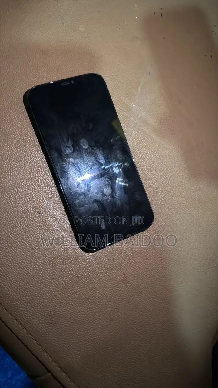 Apple iPhone 12 Pro Max 256 GB Blue
