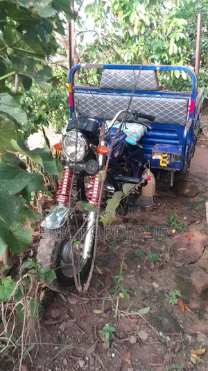 Tricycle 2024 Blue