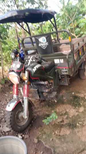 Tricycle 2024 Blue