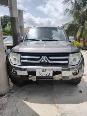 Mitsubishi Pajero 3.0 2009 Gray