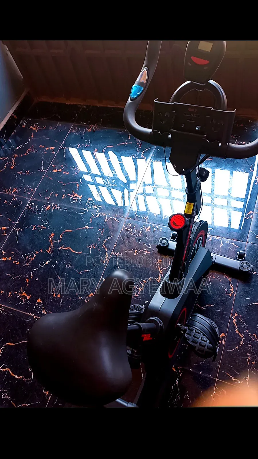 Manual Gym Bike