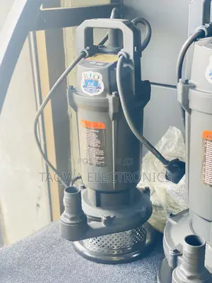 Rio 0.5hp Sewage Cast Iron Pump