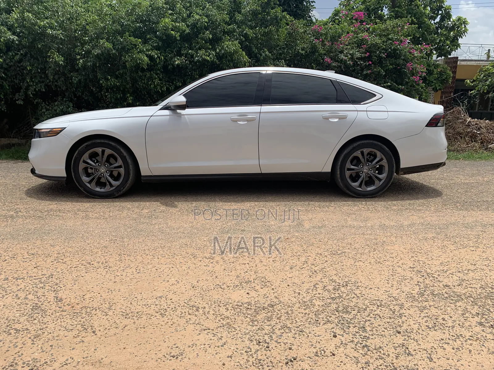 Honda Accord 2023 White
