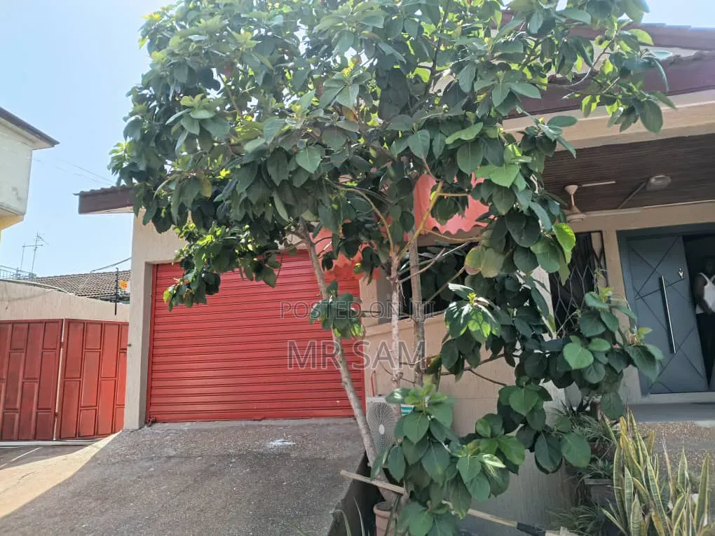 2bdrm House in Sam Properties, Bortiano for rent
