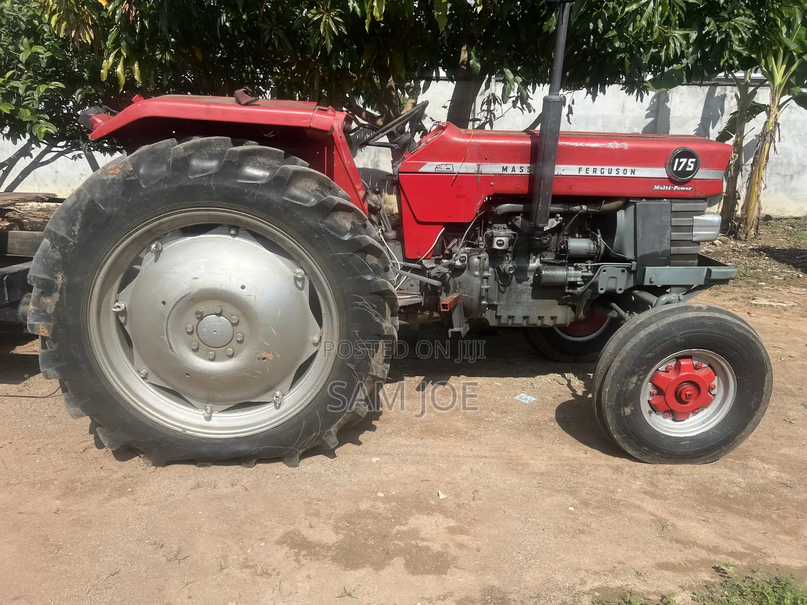 Massey Ferguson 175 8month Old