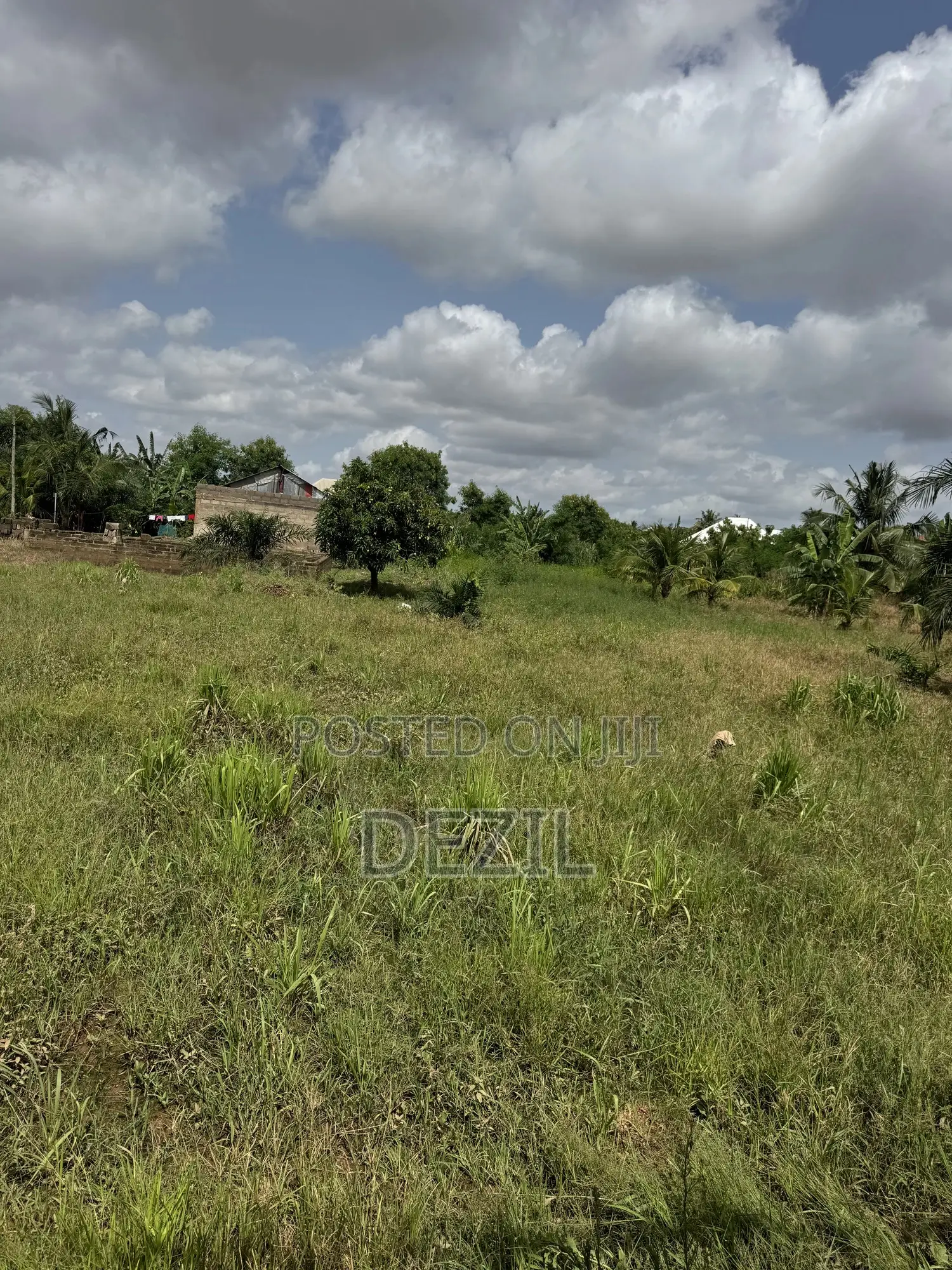Prime 80 by 90 Plot of Land Near Lawson Herbal – Abuakwa