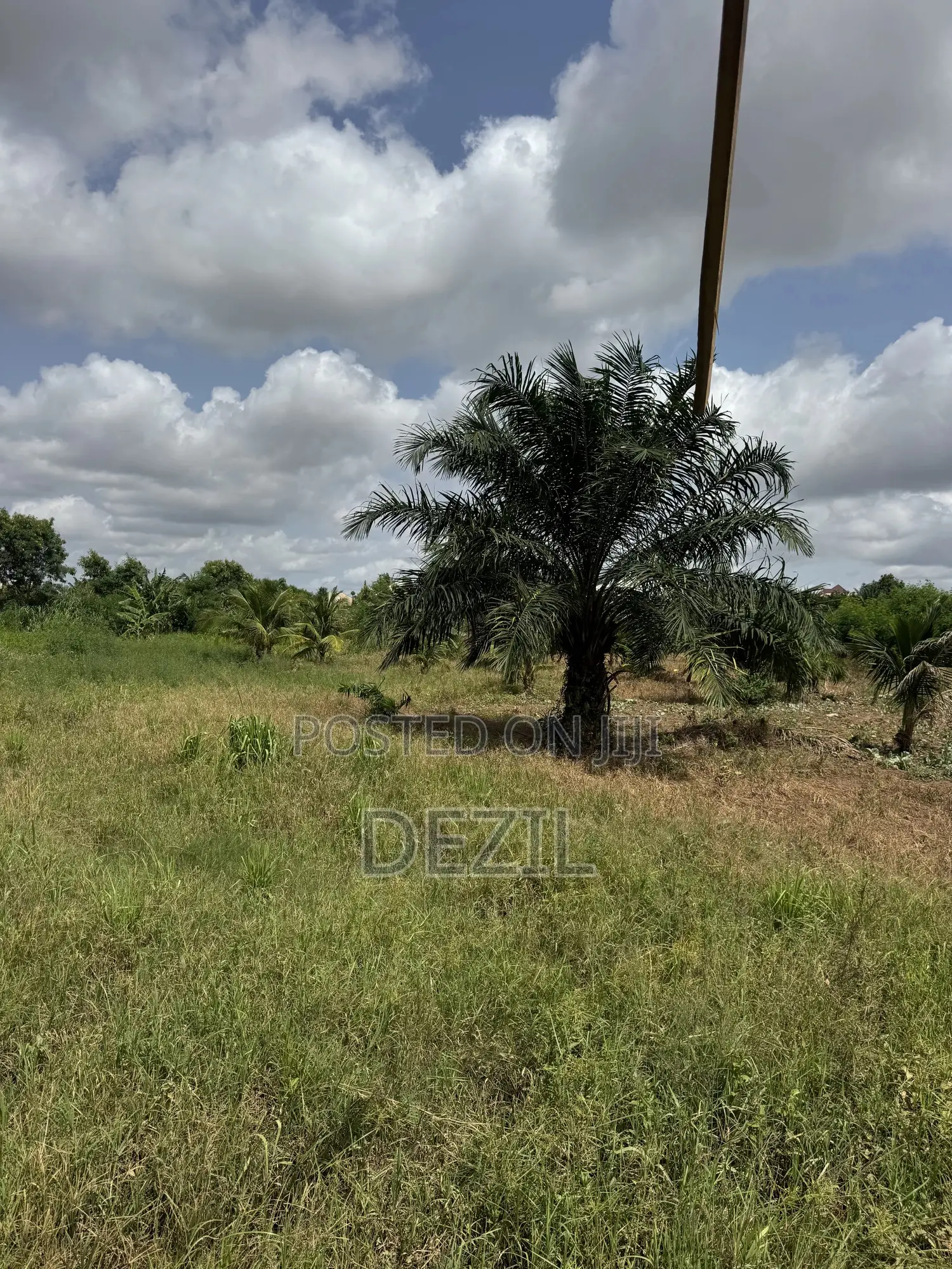 Prime 80 by 90 Plot of Land Near Lawson Herbal – Abuakwa