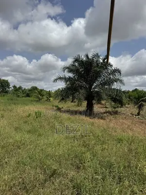 Prime 80 by 90 Plot of Land Near Lawson Herbal – Abuakwa