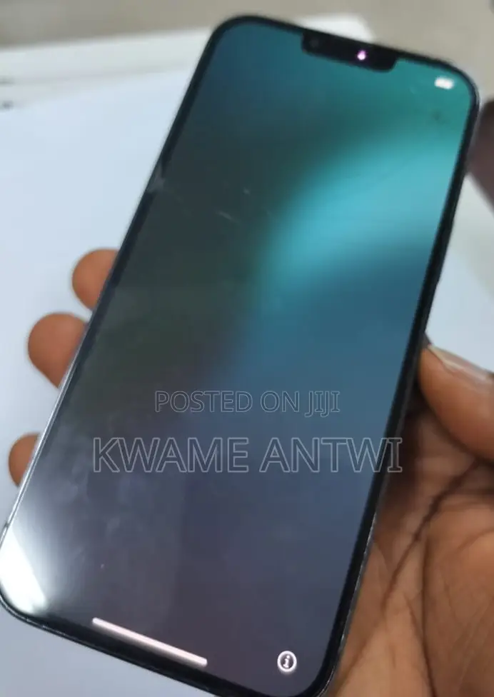 Apple iPhone 13 Pro Max 256 GB Blue