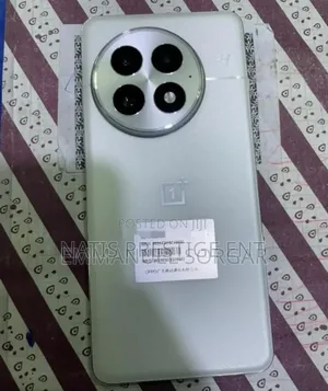 OnePlus 13 512 GB Silver