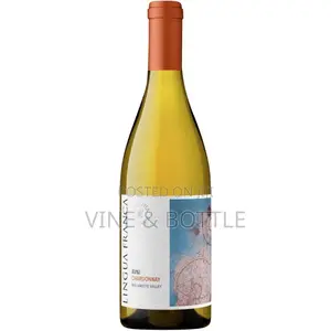 Lingua Franca Avni Chardonnay — Premium Oregon White Wine
