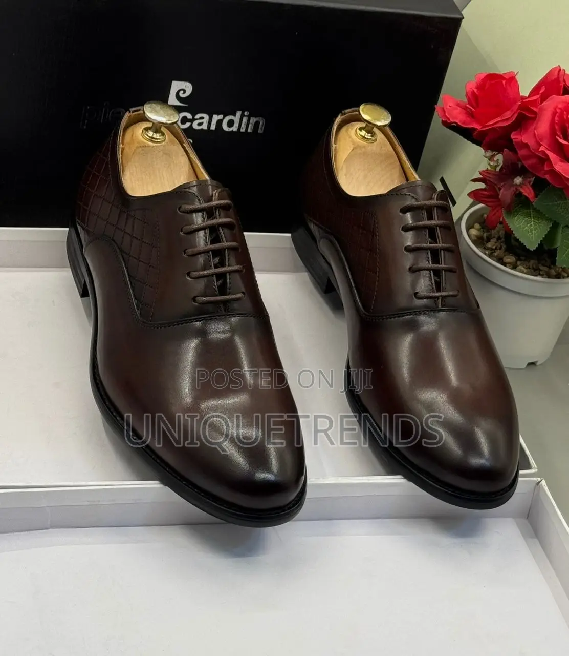Executive Pierre Cardin Leather Oxford Shoes (Brown)