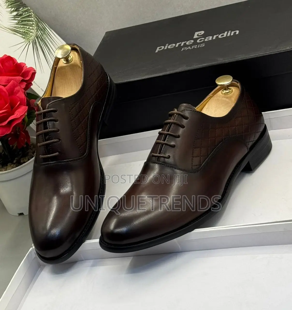 Executive Pierre Cardin Leather Oxford Shoes (Brown)