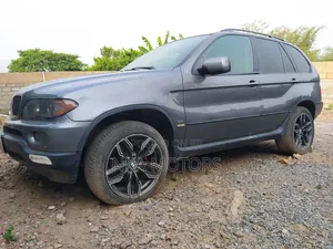 BMW X5 3.0i Sport 2008 Gray