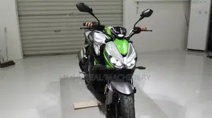 Kawasaki Bike 2025 Green