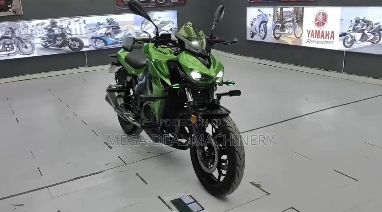 Kawasaki Bike 2025 Black
