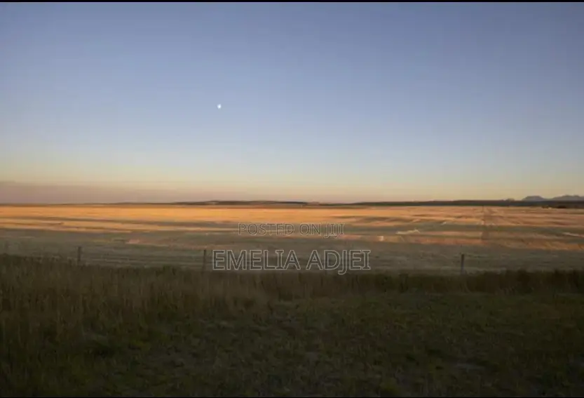 Land for Sale (2 Plots) by Owner
