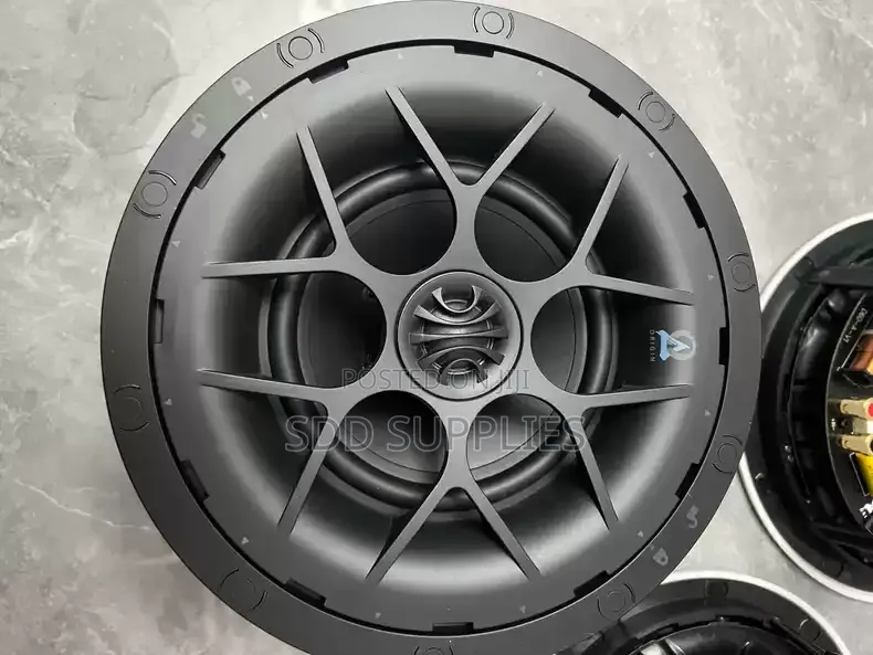 125 Watts High Quality American Origin Acoustics Ceiling Speaker D60